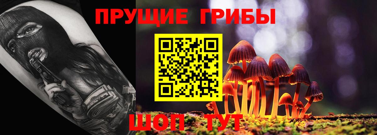 Подольск  Галлюциногенные грибы мицелий  купить наркотики цена  Вход с VPN 